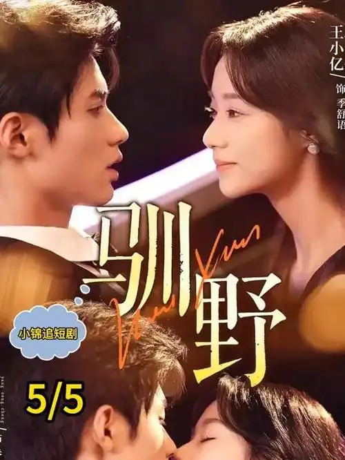 热播电视剧更新